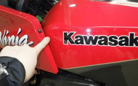 KAWASAKI GPZ900R NINJA 1995 ZX900A