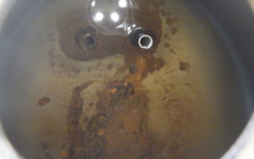 HONDA C50 SUPER CUB 2019 C50