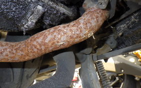 YAMAHA JOG Gen.4 SA16J