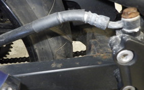 KAWASAKI NINJA 250R 2006 EX250K