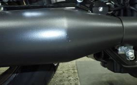 HARLEY FXLRST1920 2025