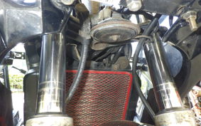 KAWASAKI ZZ-R250 EX250H