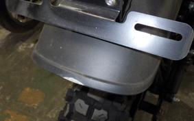 OTHER +UNREGISTERED MODEL by BDS125