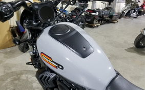 HARLEY RH975S NIGHT STAR 2024 ZF1