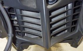 YAMAHA TRICITY 300 2020 SH15J