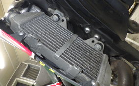 YAMAHA WR250X 2026 DG15J