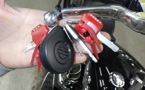 HARLEY FLBS 1870 2021