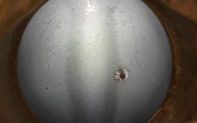 SUZUKI GS450E 2024 GL51F