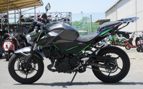 KAWASAKI Z250 EX250Y