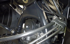 HARLEY PAN AMERICA 1250 S 2021