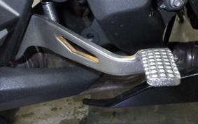 KAWASAKI NINJA 1100SX 2025 ZXT10H