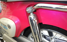HONDA C110 SUPER CUB