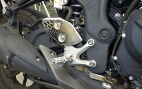 YAMAHA MT-25 RG10J