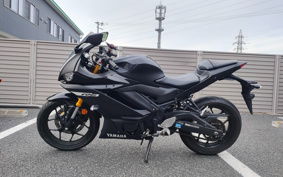 YAMAHA YZF-YZF-R3 ABS 2019 RH13J