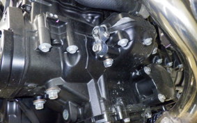 KAWASAKI Z900RS CAFE 2024 ZR900K