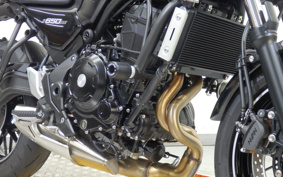 KAWASAKI Z650 RS 2024 ER650R