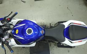 SUZUKI GSX-R1000 2009