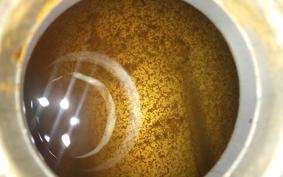 HONDA NSR50 GEN 1 2014 AC10