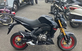 KAWASAKI Z125 PRO BR125H