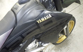 YAMAHA WR250X 2020 DG15J
