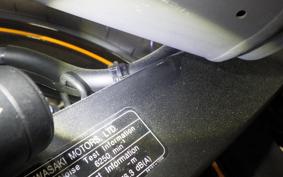 KAWASAKI NINJA 250 2022 EX250Y