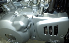 SUZUKI GRASS TRACKER Bigboy 2025 NJ4BA