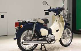 HONDA C110 SUPER CUB 2008 JA44
