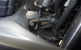 KAWASAKI NINJA 250 ABS