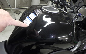 KAWASAKI NJNJA1100SX 2025 ZXT10H