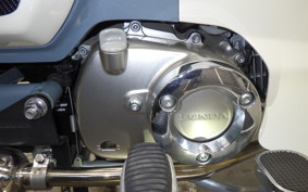 HONDA C125 SUPER CUB JA48