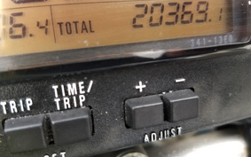 SUZUKI DJEBEL250XC SJ45A