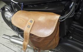 TRIUMPH BONNEVILLE T100 2021