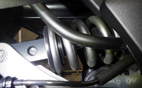 KAWASAKI NINJA 1000SX 2024 ZXT02K