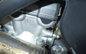 YAMAHA WR250X DG15J