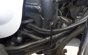 KAWASAKI NINJA 250 EX250L