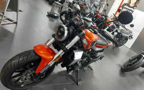 HARLEY HARLEY X350 2024 W3C