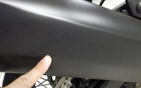 HARLEY ﾊﾟﾝ AMERICA1250S 2022