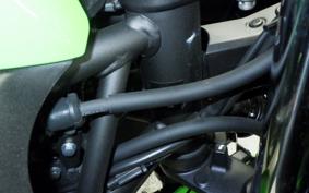 KAWASAKI NINJA 650 A 2025 ER650S