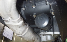 KAWASAKI NINJA 250 EX250P