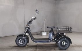 OTHER  BLAZE EV TRIKE  ..