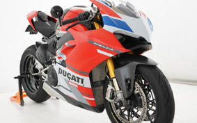 DUCATI PANIGA-REV4S CORSE 2019