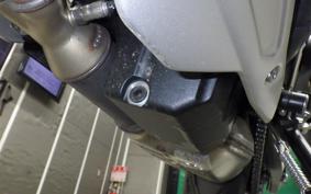 TRIUMPH TRIDENT 660 2025