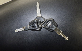 TRIUMPH SPEED TWIN 2019