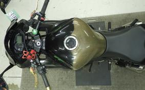 KAWASAKI NINJA 1000 2015