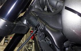 TRIUMPH TRIDENT 660 2021