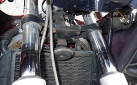 SUZUKI GSX-R250
