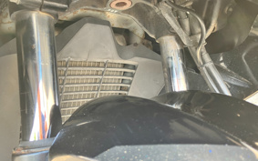 SUZUKI SKYWAVE 250SS CJ43A