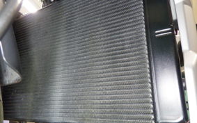 TRIUMPH TRIDENT 660 2021