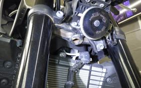 YAMAHA MT-25 A RG43J