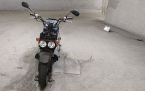 HONDA ZUMAR AF58